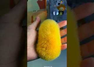 This DIY From Mango Seed Will Blow Your Mind