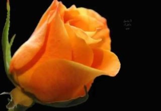 علمني وشلون أنساك وأنااااام