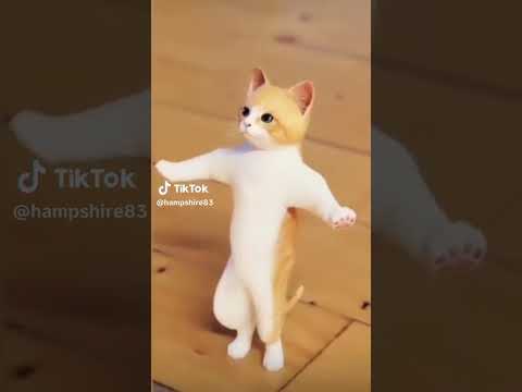 انس انس انس حلو انس انس