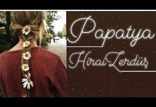 HiraiZerdüş Papatya