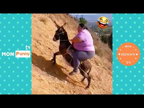 تحدي لا تضحك أفضل المقاطع المضحكة بلا توقف ضحك من البداية للنهاية الجزء 6 2026