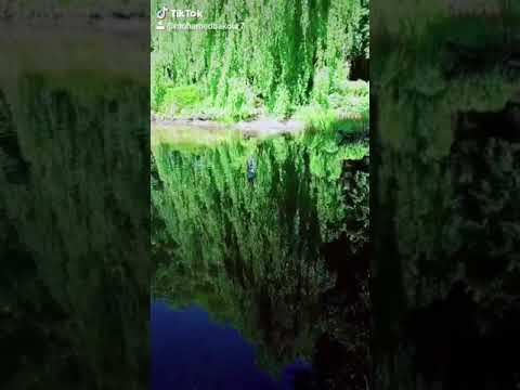 هاني شاكر بحبك لو قريب مني بحبك لو بعيد عني