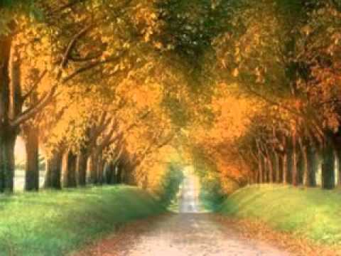 أخشع و أروع تلاوة من سورة مريم للشيخ شعبان الصياد Flv أخشع و أروع تلاوة من سورة مريم للشيخ شعبان الصياد Flv