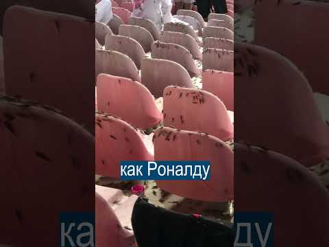 Саранча слетелась посмотреть на Роналду Саранча слетелась посмотреть на Роналду