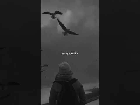 راجع تقولي عايزني دواء سلامات يا هواء