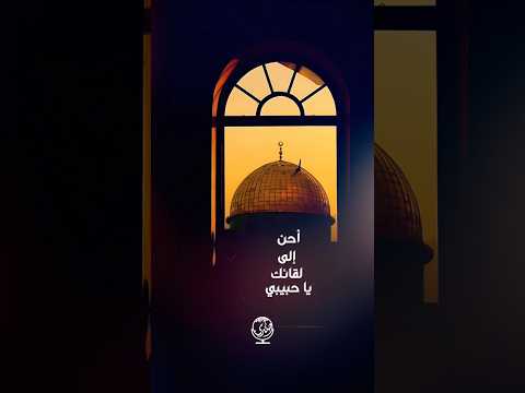 أحن إلى لقائك يا حبيبي