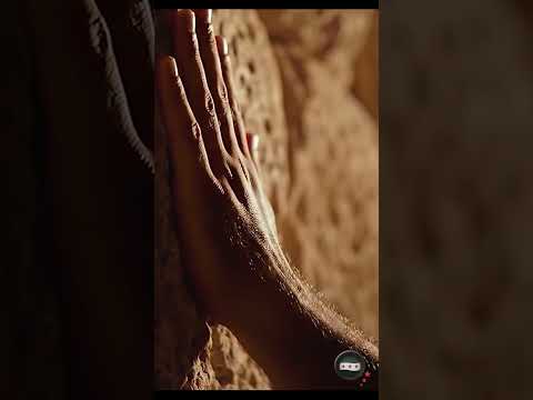 أغنية على بوابك يا شام Official Music Video