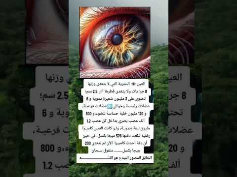العين البشرية التي لا يتعدى وزنها 8 غرامات و لا يتعدى قطرها 2 5 سم تحتوي على 3 مليون شعيرة دموية