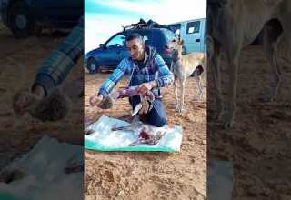 أمهر الصيادين في صحراء الجزائر The Most Skilled Fishermen In The Desert Of Algeria 