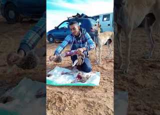 أمهر الصيادين في صحراء الجزائر The Most Skilled Fishermen In The Desert Of Algeria