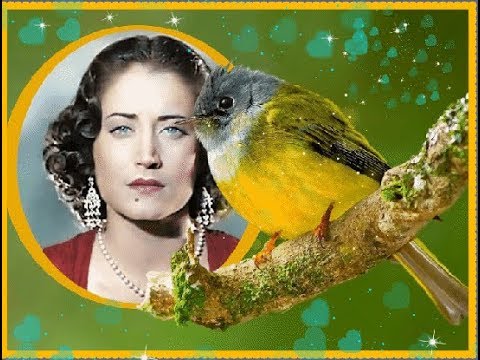 ألامـــــيرة أسمهان دخلت مره فى جنينة اسطوانة نادرة جدا HD