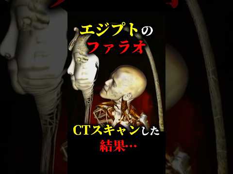 エジプトのファラオをCTスキャンした結果 都市伝説 怖い話 雑学 Shorts 未確認生物 Uma ピラミッド