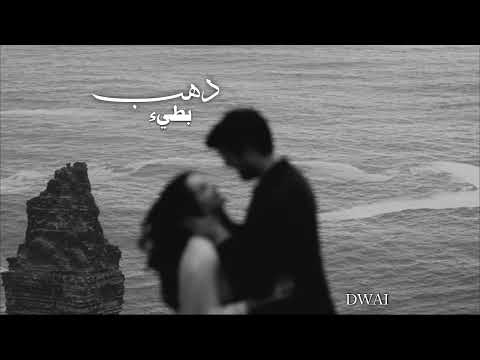 وفيق حبيب دهب بطيء مبطئة