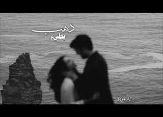 وفيق حبيب دهب بطيء مبطئة