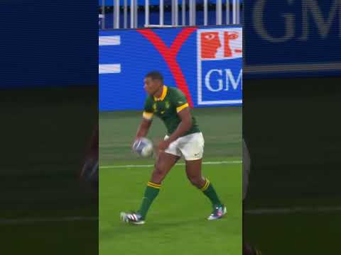 The Hand Gesture Is Recognized As A Symbol Representing Springboks
