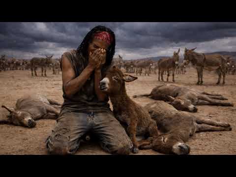 BHATUGUTU Song Mdendela COMING SOON