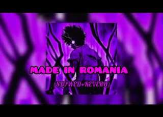  MADE IN ROMANIA BRAZILIAN FUNK SLOWED REVERB FULL SONG Avsmusic Music