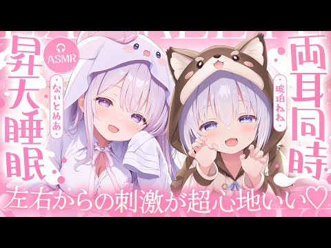 両耳ASMR KU100 両側からほっこり 極上の安らぎでぐっすり睡眠サポート なぃとめあ 琥珀ねね 耳はむ コラボ Japanese Vtuber