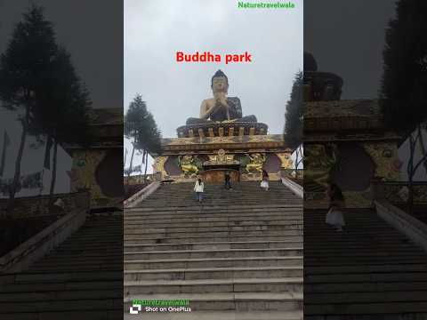 Exploring Namchi Sikkim Top Places To Visit Samdruptse Char Dham Sai Mandir More Exploring Namchi Sikkim Top Places To Visit Samdruptse Char Dham Sai Mandir More