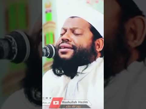 تلاوت زیبا قرآنکریم Sorts Youtuobeshorts تلاوت زیبا قرآنکریم Sorts Youtuobeshorts