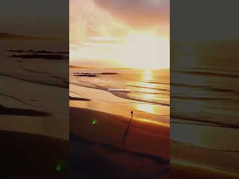 Warriyo Mortals Ft Laura Brehm Lyrics Aesthetic Mortal Warriyo