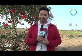 حماده هلال يهنئ قنوات راديو و تلفزيون العرب ART بحلول شهر رمضان المبارك