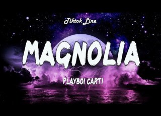  Playboi Carti Magnolia Lyrics