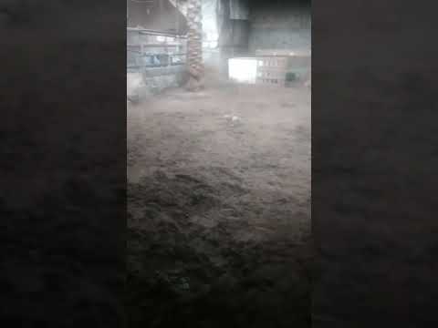 ودحرج وجري يا رمان