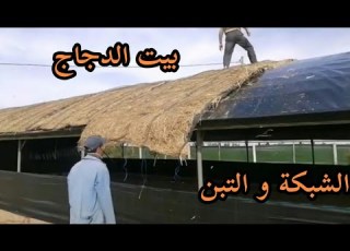 Free Range Chicken Coops At A Lower Cost Than Netting Or Straw Alternative To Burlap Or Hay