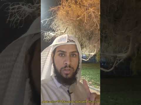 شذرات من كتاب أباطيل وأسمار لمحمود شاكر ٢ عبدالرحمن العوفي