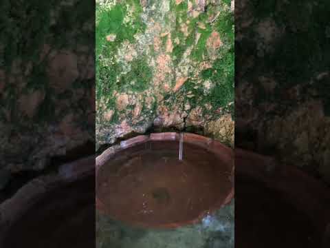 عين ثغرة عصفور بعدسة بسام مسلم الزبون