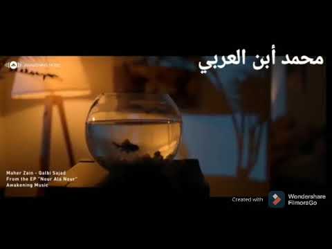 أنشودة ماهر الزين الجديدة قلبي على بابك سجد