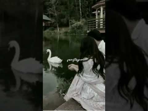 Ymbung Meiraba Mabemma Shija