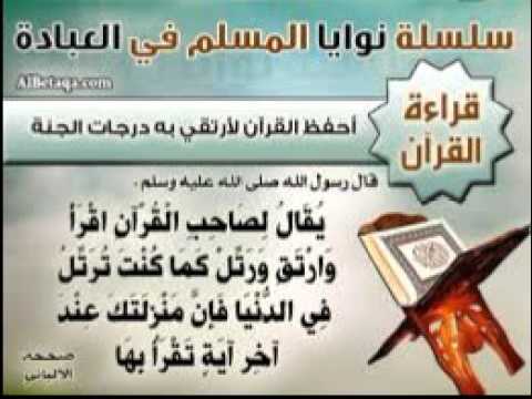 القارئ سعيد دباح سورة المؤمنون