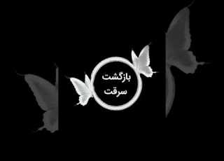   گرفتار کردن دزد قوی