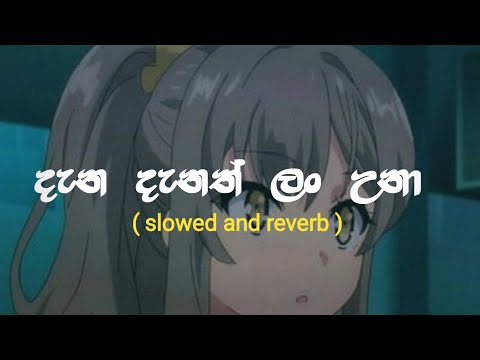 ද න ද නත ල උන Dana Danath Lan Una Slowed And Reverb Jude Rogans