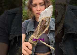 無人島で生き残るためにはこうしましょう