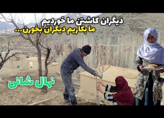 دیگران کاشتن ما خوردیم ما بکاریم تا دیگران استفاده کنند امروز نهال شانی داشتیم