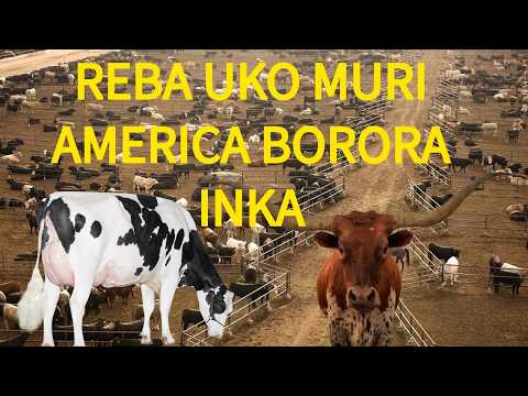 DUTEMBERANE USA REBA UBUZIMA BW INKA ZO MURI AMERIKA UKO ZIBAYEHO