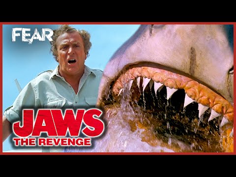 Jaws Attacks Michael Caine S Plane Jaws The Revenge Fear