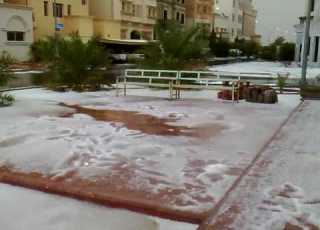 ثلج في الكويت ضاحية عبدالله مبارك 30 3 2009