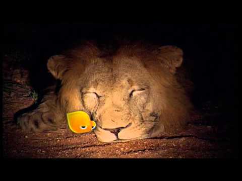 نام القمر حديقة المرح