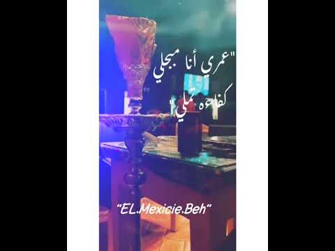 مهرجان عمري انا مبجلي كفاءة حالات واتس 2022
