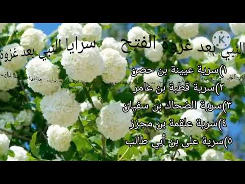 كيف بسط النبي الأمن في الجزيزة العربية بعد الفتح كيف بسط النبي الأمن في الجزيزة العربية بعد الفتح