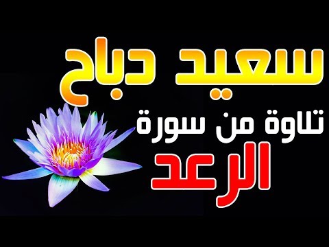 القارئ سعيد دباح تلاوة من سورة الرعد جودة عالية القارئ سعيد دباح تلاوة من سورة الرعد جودة عالية
