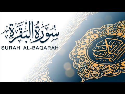 سورة البقرة بصوت مشاري العفاسي ٨ ادعمونا بالاشتراك لنصل ال 10000 مشترك سورة البقرة بصوت مشاري العفاسي ٨ ادعمونا بالاشتراك لنصل ال 10000 مشترك