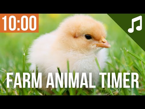 10 Minute Timer For Classroom With Music For Kids Cute Farm Animal Countdown