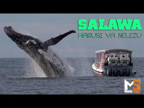 Salawa Harusi Ya Nelezu Peter Boy Tech Official