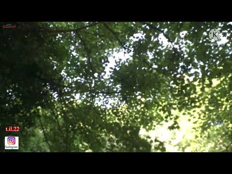 زوجة حارس المزرعة في ورطة كبيرة