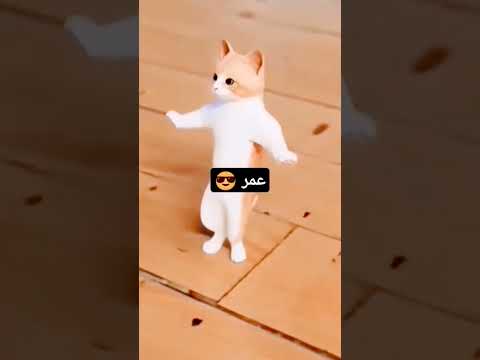 اسم عمر استنو الجزء الثالث عمر جنى روب بلاكبينك الكيبوب عمر بس باي يا حلوين